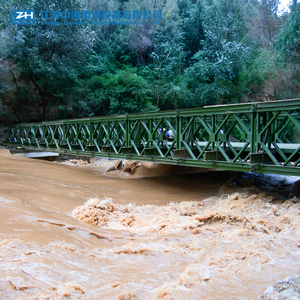 Fast Assembled Manufacturer Best Price Emerging Bailey Type Bridge