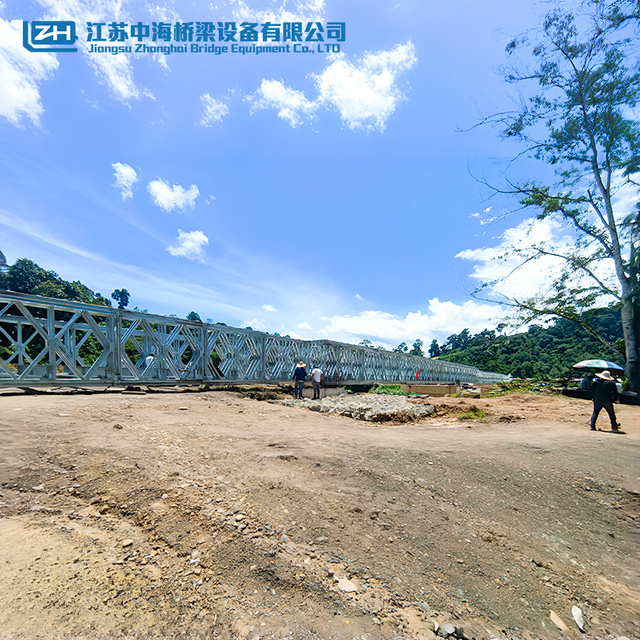 Manufacture High Performance Modern Desigh Steel Bridge for Construction 